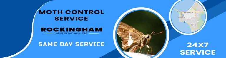 Moth Control Rockingham