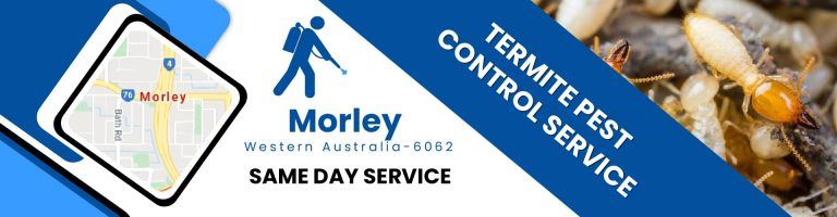 Termite Control Morley
