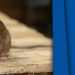 The Unnoticed Damages Rats Cause in Your Houses