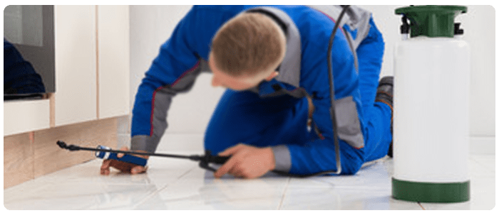Professional pest control
